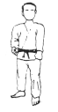 il-17.gif (2951 bytes)