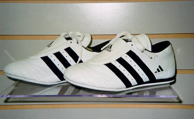 Taekwondo Shoe 1